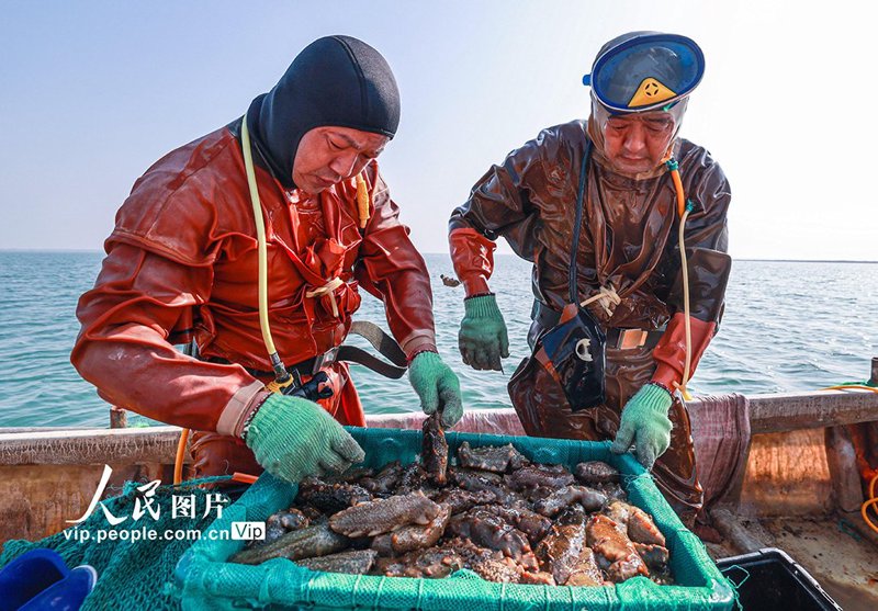 水产加工品税收分类编码常见问题与解答