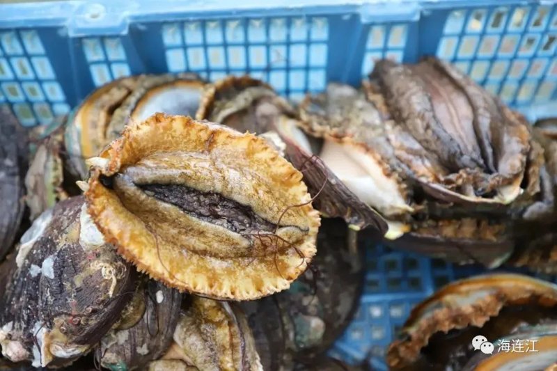 海洋食品加盟：新手必问的“坑”与“蓝海”，我替你问了