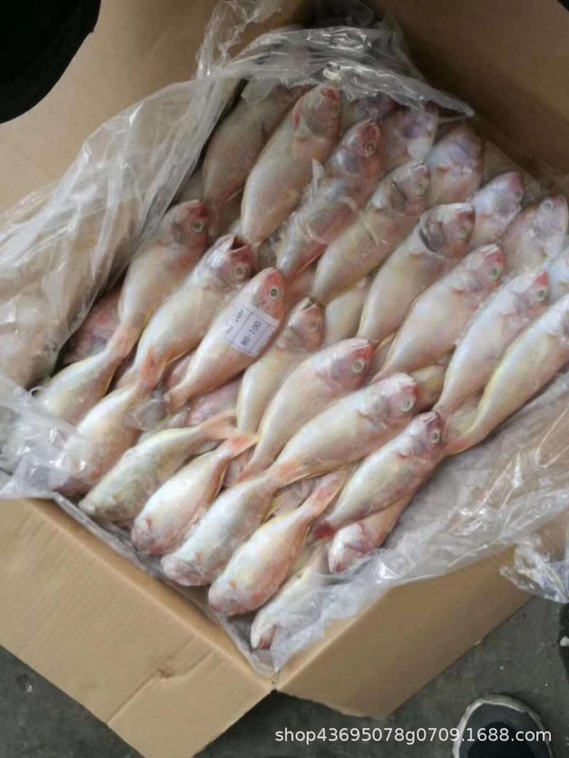 冷冻海鲜真的有害吗？五个常见问题一次讲清