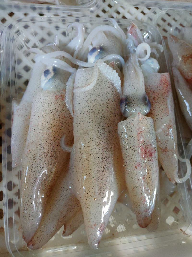 鲍鱼蒸几分钟最佳时间？新手必看清单指南